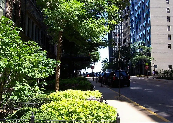 Hotel Dewitt And Chicago